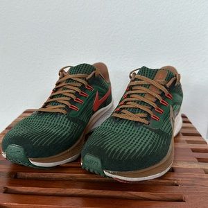 Nike Air Zoom Pegasus 39 x Hola Lou A.I.R. 2022